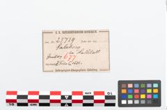 Etikett zu Bronzebrillenfibel (NHMW-PRAE-025739)